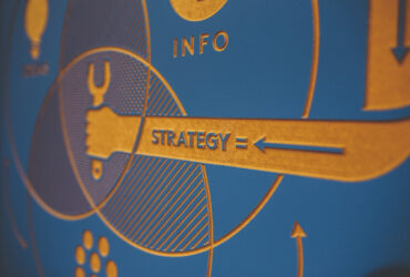 Agribusiness Strategy and Information Analysis Techniques