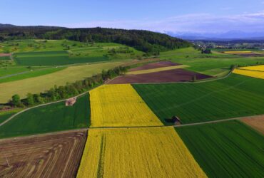 Agribusiness – A Basic Introduction