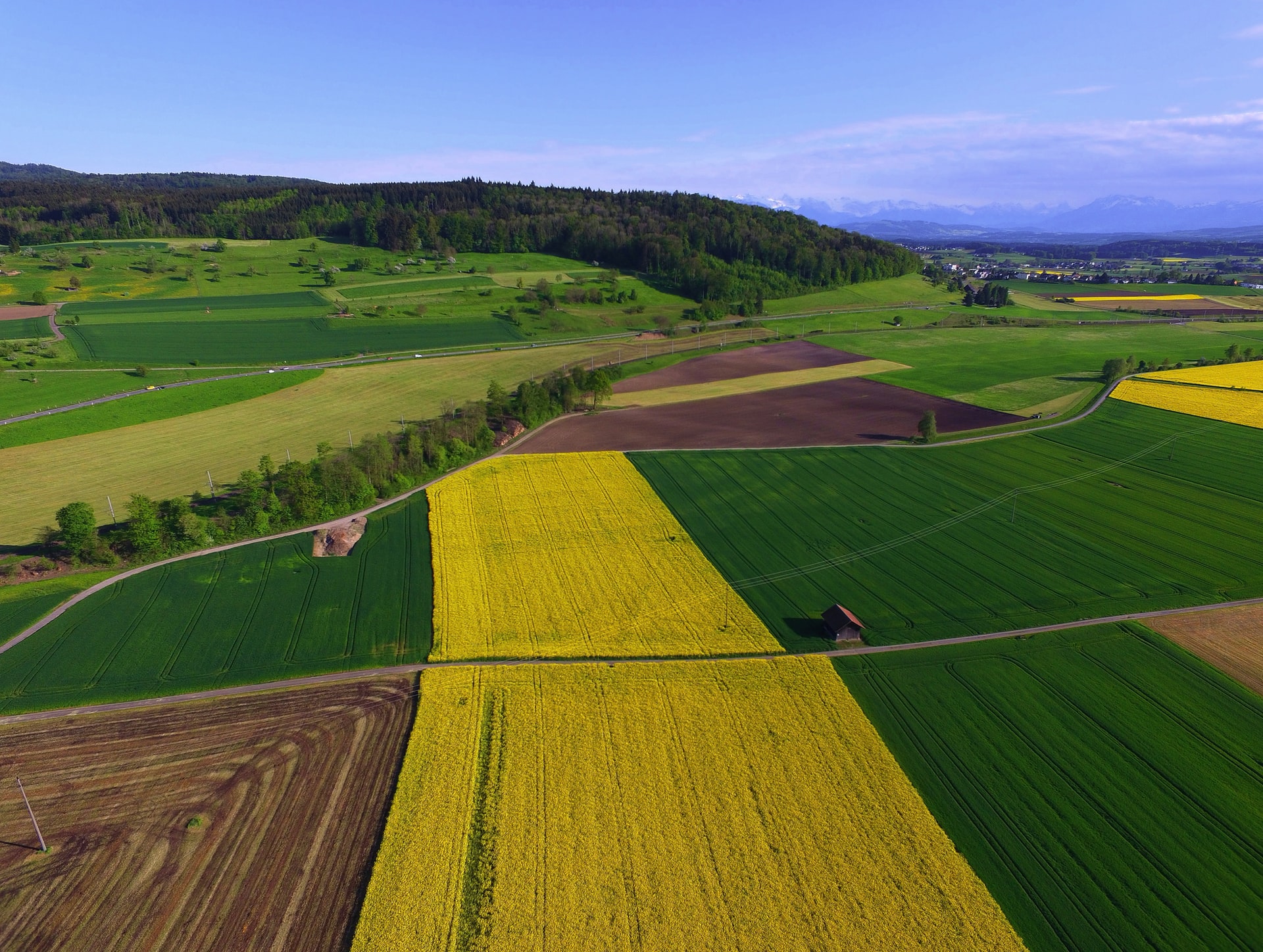 Agribusiness – A Basic Introduction