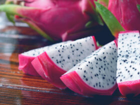 Dragon Fruit Cultivation Method in the Roof Garden Tub