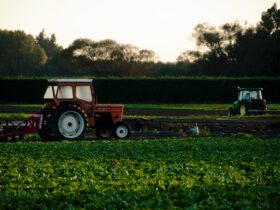 Organic Agriculture Introduction