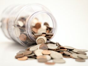 Dividend Choices Approaches for Agribusiness