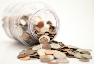 Dividend Choices Approaches for Agribusiness