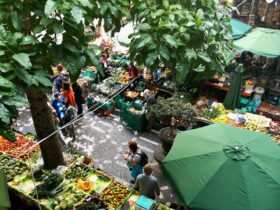Inclusive Market Development (IMD) for Agribusiness