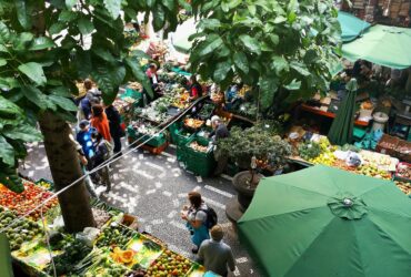 Inclusive Market Development (IMD) for Agribusiness