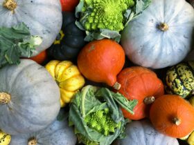 Squash cultivation method