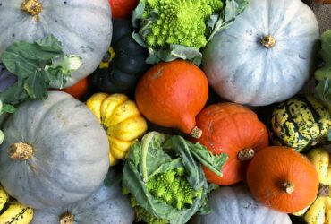 Squash cultivation method