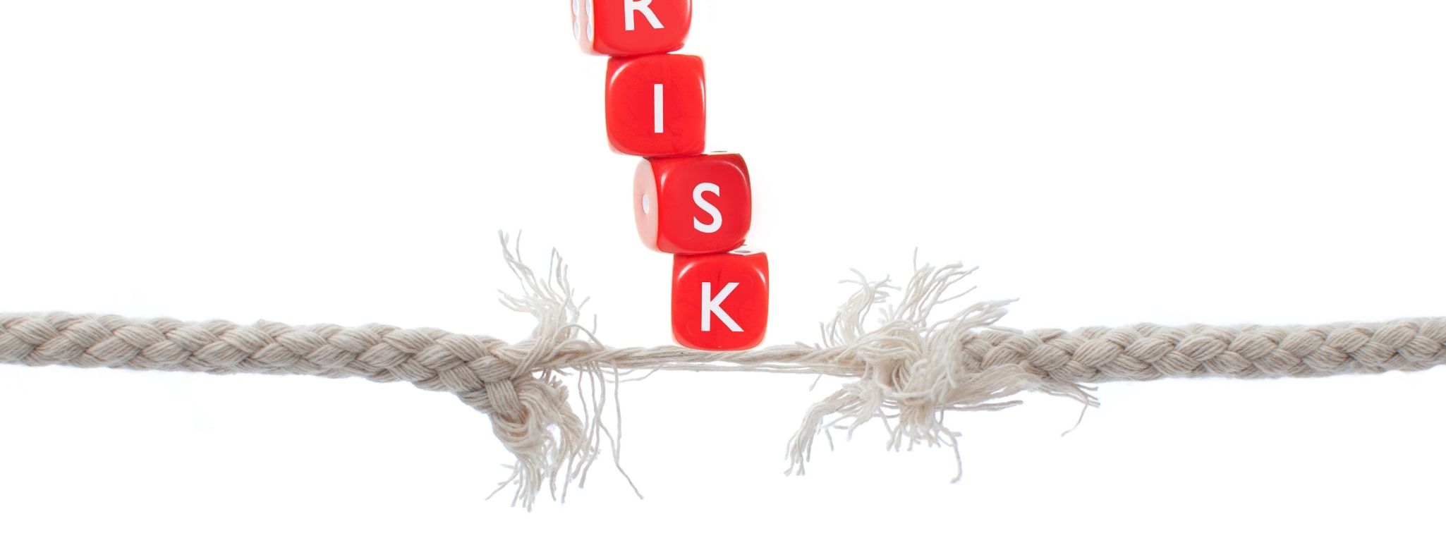 Risk and Return for investment in Agribusiness