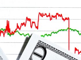 Importance of Demand Elasticity in Business Economics