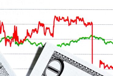 Importance of Demand Elasticity in Business Economics