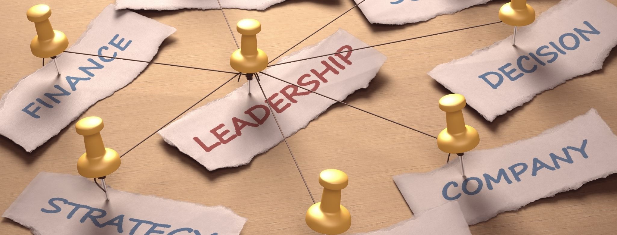 Leadership in Agribusiness Strategy
