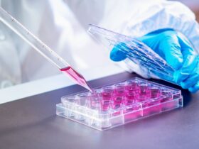Sterilization