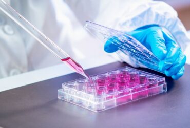 Sterilization