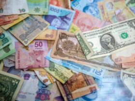 Money as a Motivator in Agribusiness Organization