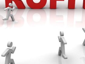 Profit Maximization Critique Hypothesis