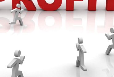 Profit Maximization Critique Hypothesis