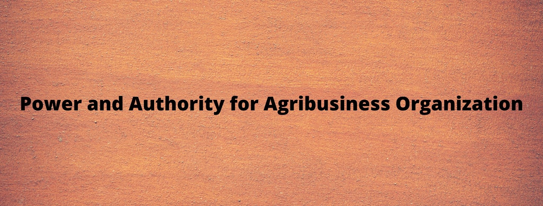 Power and Authority for Agribusiness Organization