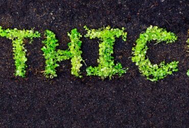 Social Responsibility and Ethics for Agribusiness