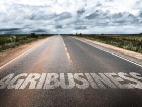 What are the agribusiness development policies?