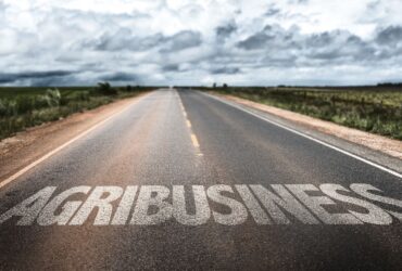 What are the agribusiness development policies?