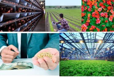 What is Agribusiness?