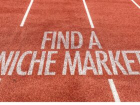 What is the Agribusiness Niche market ?