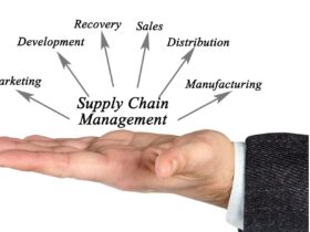 What is supply chain management process in Agribusiness?