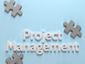 Project manager role in project management in Agribusiness