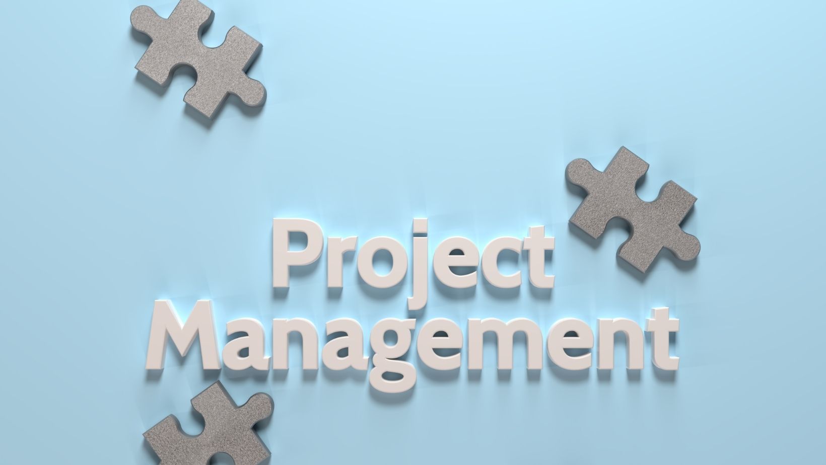 Project manager role in project management in Agribusiness