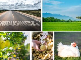 Potential Investment sector in Agribusiness after Covid-19 Pandemic in Bangladesh