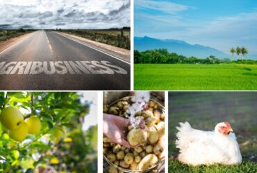 Potential Investment sector in Agribusiness after Covid-19 Pandemic in Bangladesh