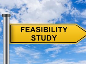 What is the concept of a feasibility study in Agribusiness?