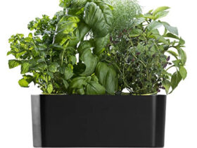 AeroGarden Black Harvest Indoor Hydroponic Garden for Farming