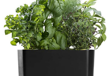 AeroGarden Black Harvest Indoor Hydroponic Garden for Farming