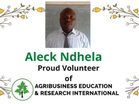 Aleck Ndhela