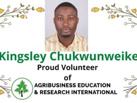 kingsley Chukwunweike