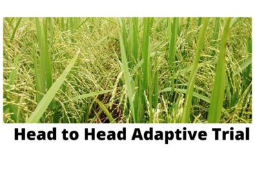 Virtual workshop of Head to Head Adaptive Trial protocol orientation