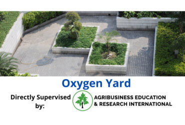 Oxygen Yard – A renowned Nurseries & Gardening Store