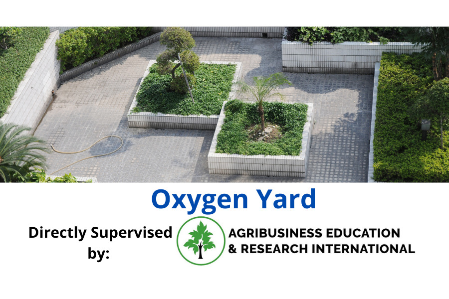 Oxygen Yard – A renowned Nurseries & Gardening Store