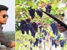 Operation Research in Agriculture