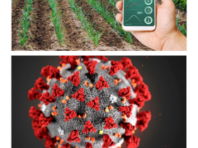 Covid -19 Pandemic Impact on Agribusiness
