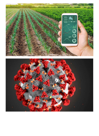 Covid -19 Pandemic Impact on Agribusiness