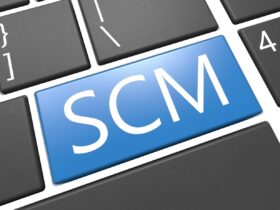 What are Collaborative Supply Chain's Elements?