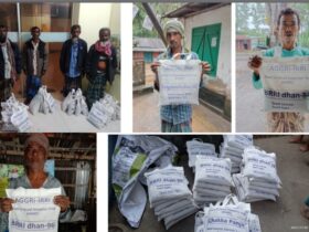Seed distribution of the trial titled “Head to Head Adaptive Trial (HHAT) of Modern Rice Varieties(IRRI-BRRI Protocol)” under Bangabandhu Sheikh Mujibur Rahman Science and Technology University in Boro 2021-2022 season in Bangladesh by Agribusiness Education and Research International