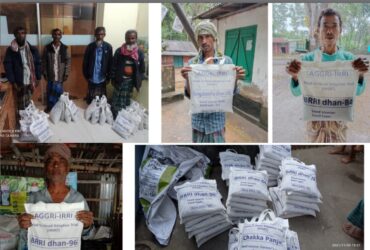 Seed distribution of the trial titled “Head to Head Adaptive Trial (HHAT) of Modern Rice Varieties(IRRI-BRRI Protocol)” under Bangabandhu Sheikh Mujibur Rahman Science and Technology University in Boro 2021-2022 season in Bangladesh by Agribusiness Education and Research International