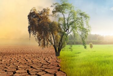 The environmental impact of agriculture during the COVID-19 pandemic and SDG