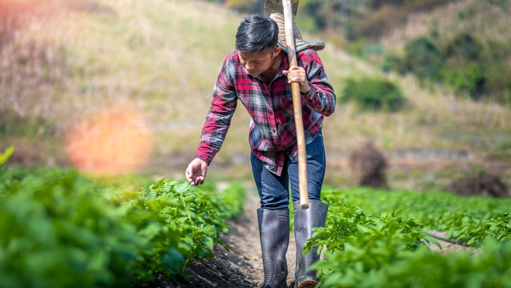 What is the Scope of Agribusiness after the covid-19 pandemic Situation?
