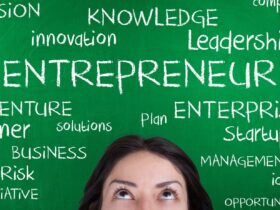 What are the Characteristics and Traits of an Entrepreneur? 