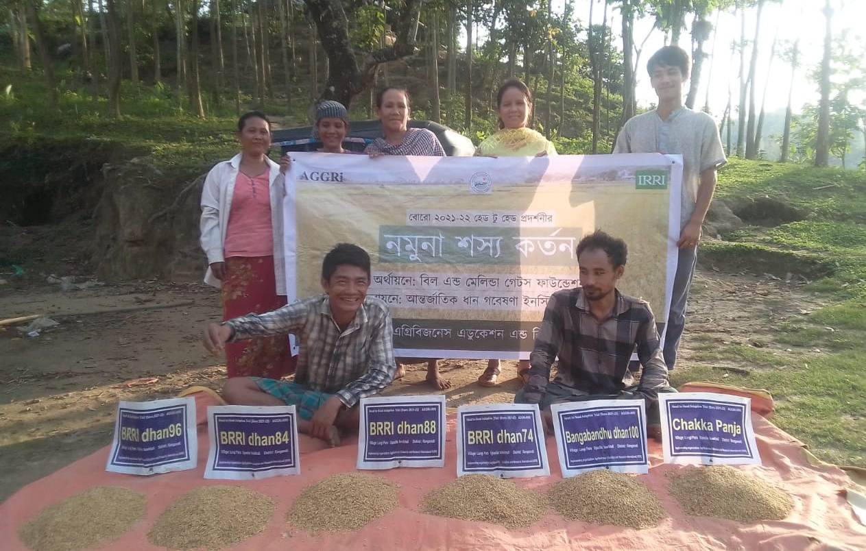 Sample Crop cutting of Agro-IRRI project has been completed successfully