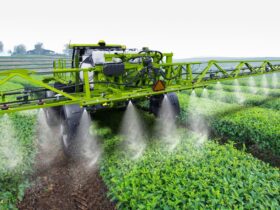 Drivers of Competitiveness for Agribusiness in South Asia